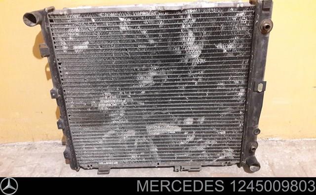1245009803 MERCEDES Радиатор охлаждения двигателя купить в Львов