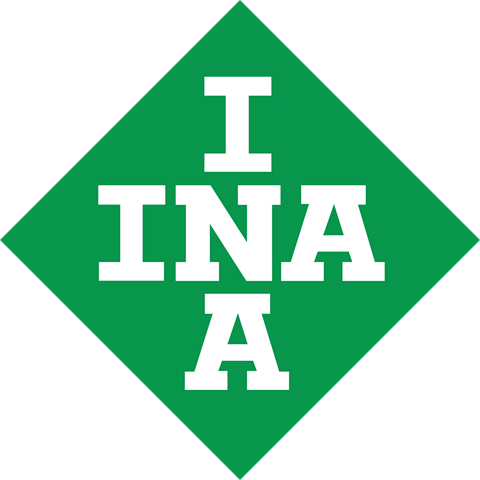 INA 553024110 Цепь ГРМ в наличии Харьков