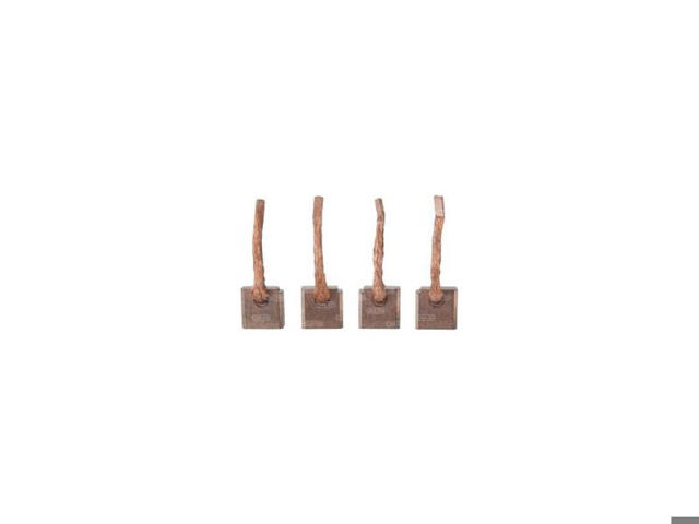 Щетка стартера BSX1751764 CARGO