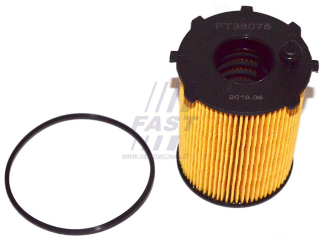 Фильтр масляный ДВС FT38075 FAST