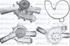 Помпа водяная, (насос) охлаждения M246 DOLZ