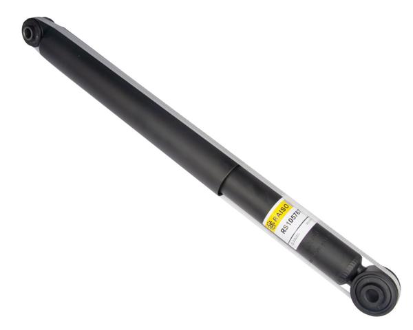 Амортизаторы задние RS105767 RAISO