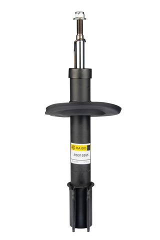 Амортизаторы передние RS315265 RAISO