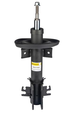 Амортизаторы передние RS317422 RAISO
