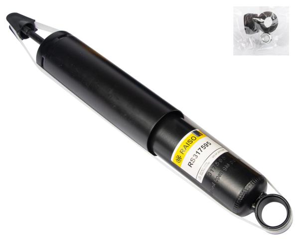 Амортизаторы задние RS317595 RAISO