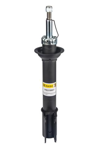 Амортизаторы передние RS319807 RAISO