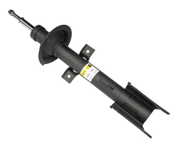 Амортизаторы задние RS557957 RAISO