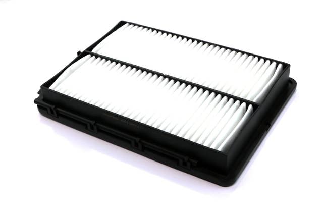 SHAFER SX10271 Воздушный фильтр в наличии Черновцы