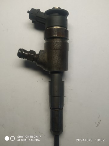 BOSCH 0445110252 Топливные форсунки в наличии Каменское