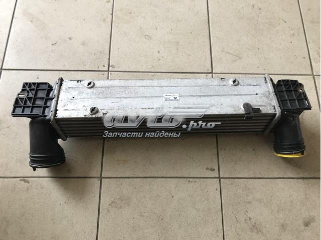17517798788 BMW Радиатор интеркуллера купить в Украина