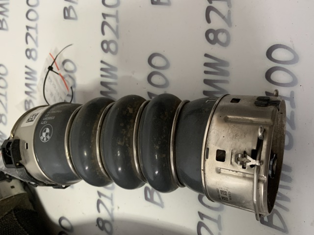 13718599391 BMW купить в Чернигов
