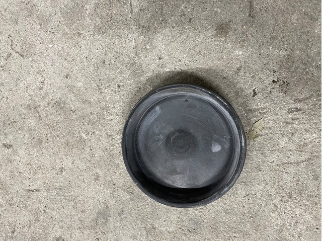 Крышка (заглушка) шкива коленвала 038105278A VAG