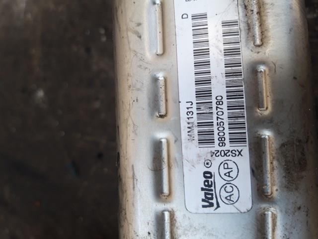 9800570780 PEUGEOT Радиатор системы EGR купить в Украина