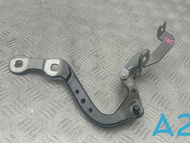 Петля двери задней (багажной 3/5-й) 41007494944 BMW