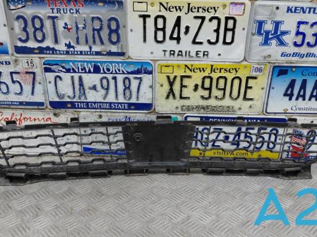 Решетка на бампер 51118061124 BMW