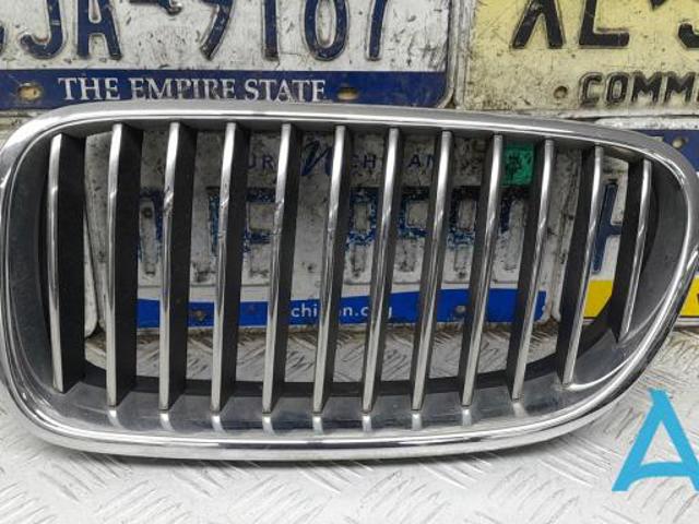 Решетка радиатора левая 51137203649 BMW