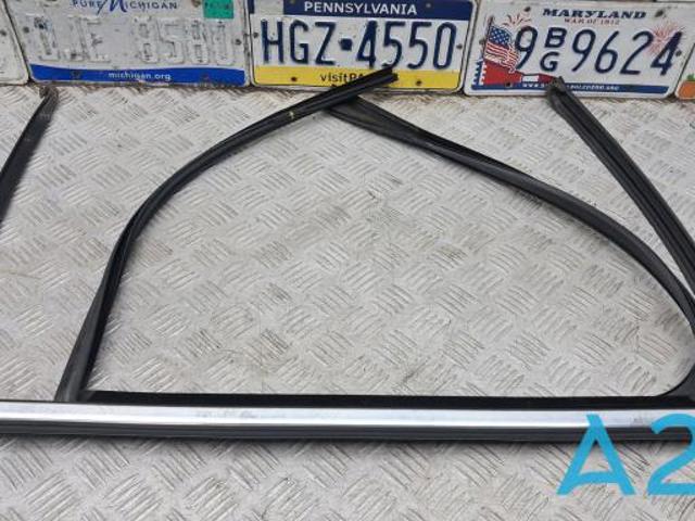 Направляющая стекла рамки двери, заднего левая 51357289667 BMW