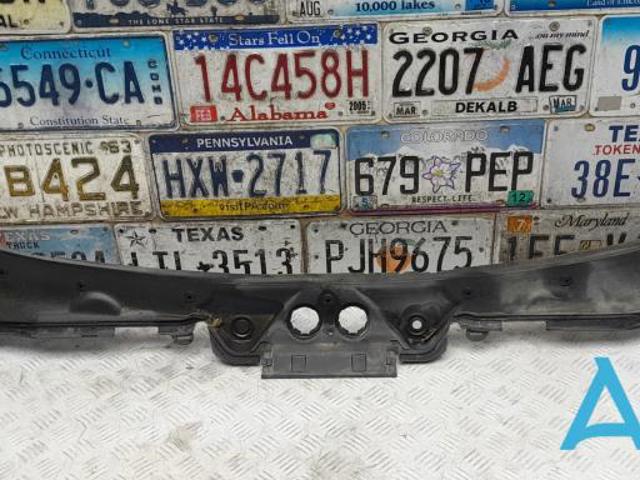 Жабо 51717285920 BMW
