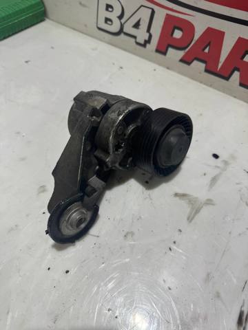 Роликовий модуль натяжителя ремня 31251252 VOLVO