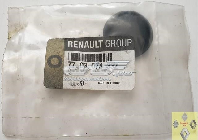 RENAULT 7703074332 Заглушка днища в наличии Чернигов