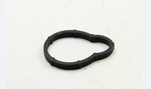 JD5315 PAYEN Прокладка впускного коллектора купить в Украина
