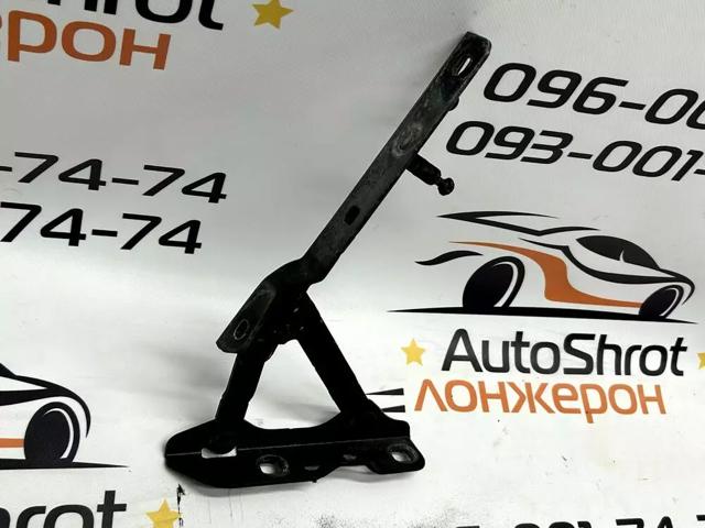 102928499D Петля капота левая купить Ужгород