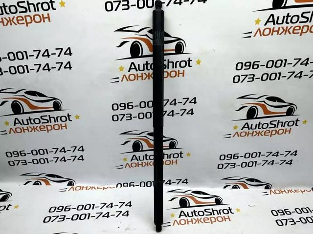 Амортизатор крышки багажника 106566900A TESLA