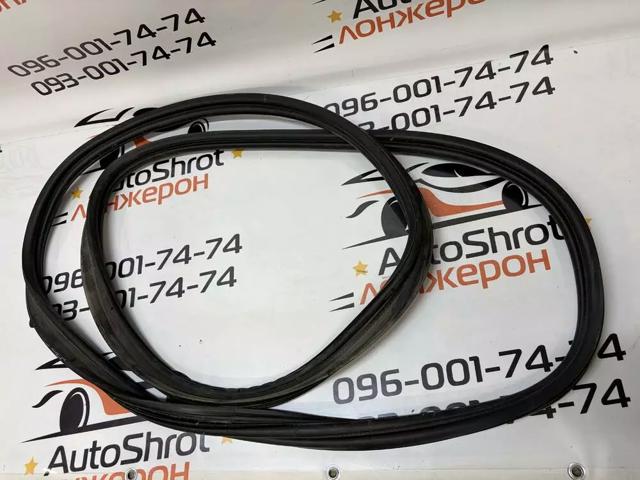 Уплотнитель двери задней, (на кузове) 31662570 VOLVO