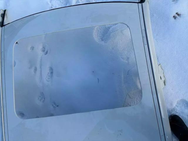 Крыша 41319625569 BMW