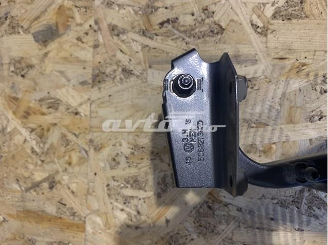 VAG 5C6827302D Петля крышки багажника в наличии Сумы
