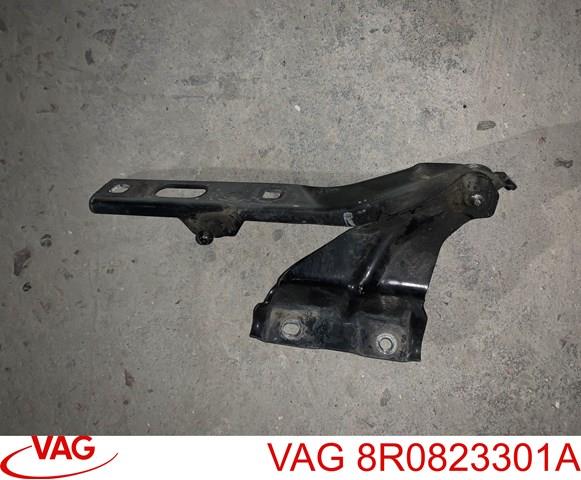 8R0823301A VAG Петля капота левая купить в Чернигов