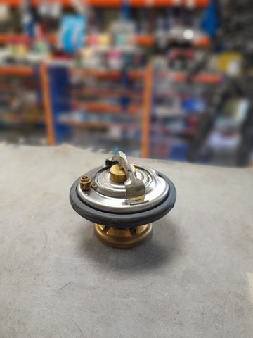 WAHLER 417685D Термостат в наличии Ирпень