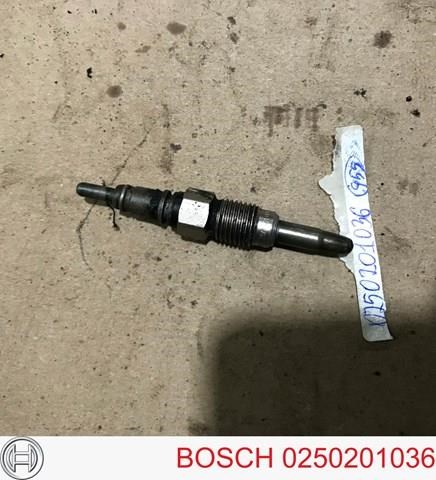 BOSCH 0250201036 Свеча накала в наличии Днепр