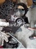 Кожух ремня ГРМ 03L109145B VAG