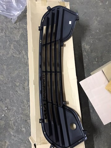 Решетка бампера переднего нижняя 865602V000 HYUNDAI