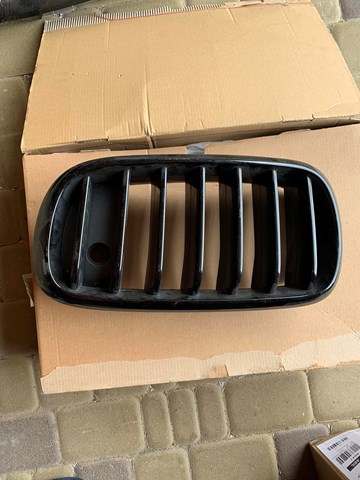 Решетка радиатора левая 51712334708 BMW
