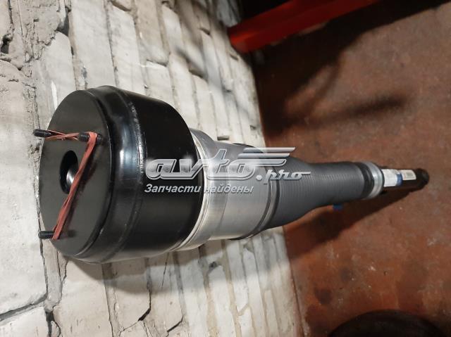 A2213205813 Амортизатор задний правый купить Каменское