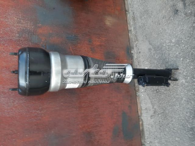 MERCEDES 2223200113 в наличии Черновцы