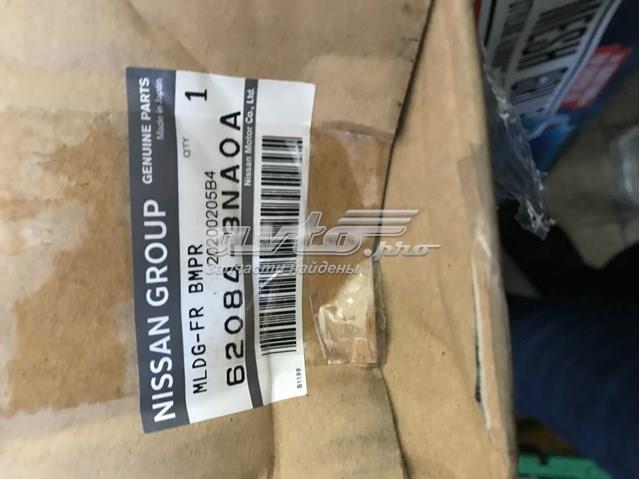 NISSAN 620843NA0A Молдинг бампера переднего в наличии Житомир
