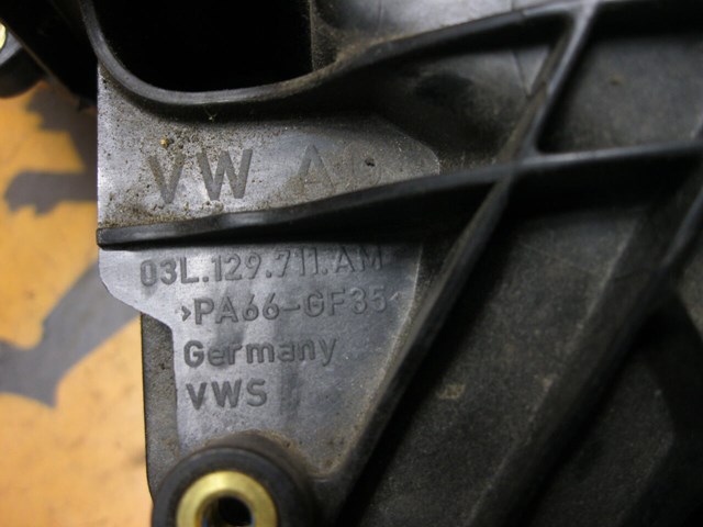 03L129711 VAG Впускной коллектор купить в Павлоград