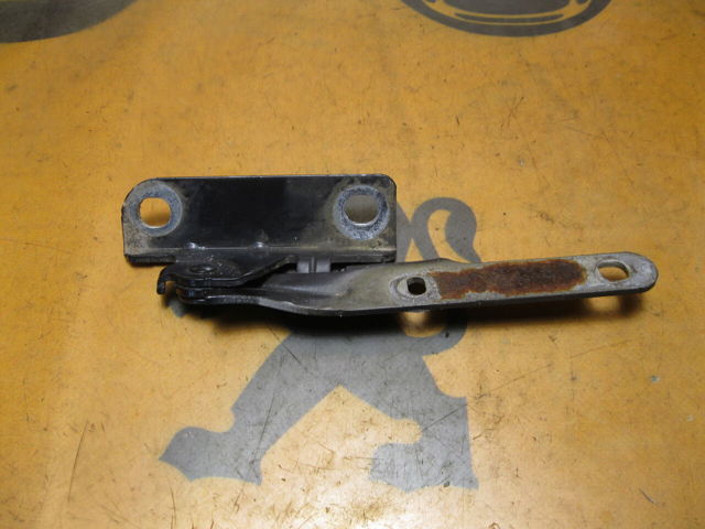 6001546876 RENAULT Петля капота правая купить в Сумы