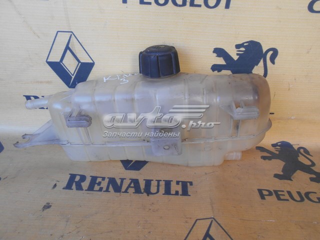 RENAULT 8200149742 в наличии Черкассы