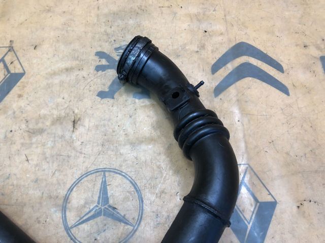 8200230579 RENAULT Патрубок интеркулера купить в Ирпень