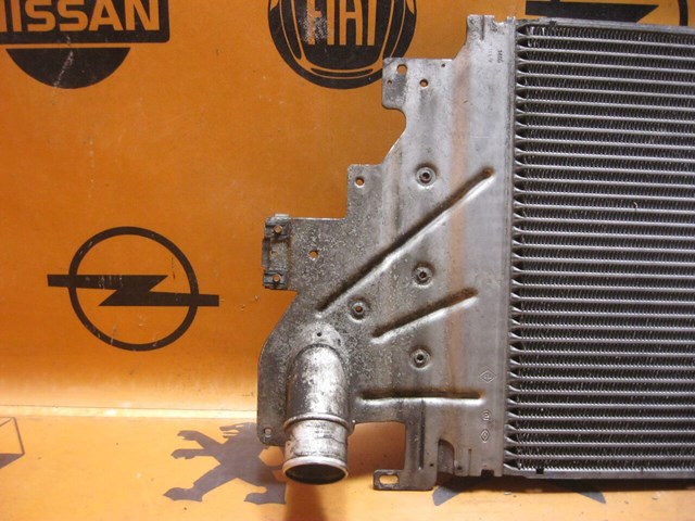 8200252209 RENAULT Интеркулер купить в Кривой Рог