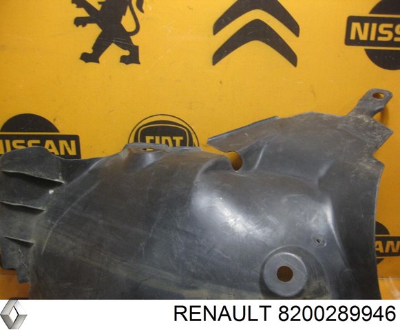8200289946 RENAULT Подкрылок крыла переднего правый задний купить в Сумы