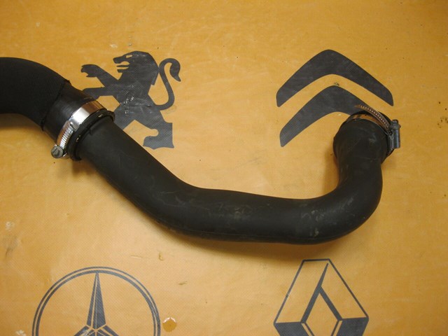 8200351454 RENAULT Патрубок интеркулера купить в Ужгород