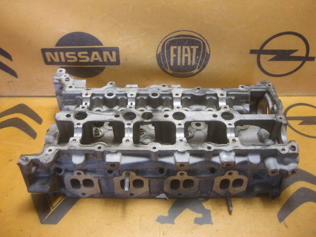Головка 8200519994 RENAULT