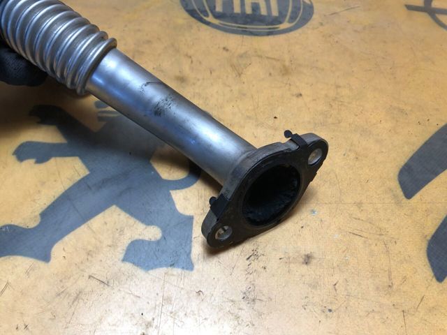 8200889753 RENAULT Шланг (патрубок) радиатор EGR, обратка купить в Днепр