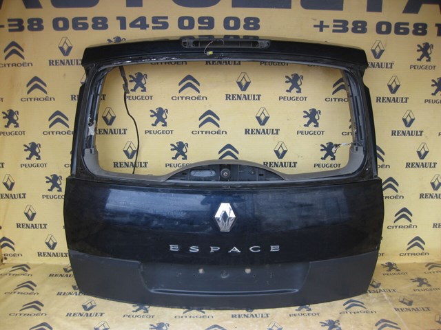 Задняя дверь 901007291R RENAULT