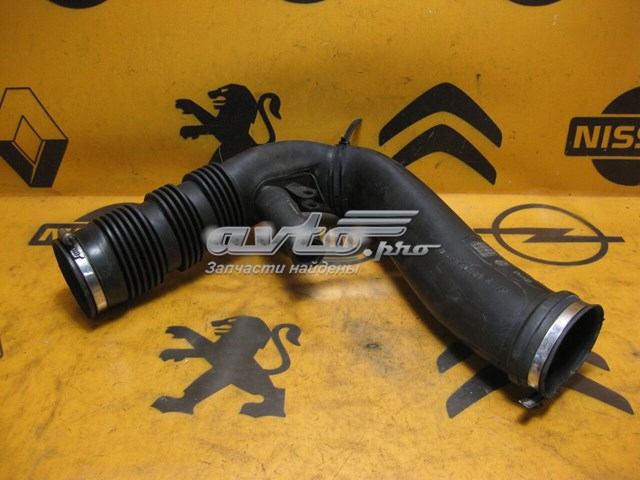 PEUGEOT 9642060880 в наличии Запорожье